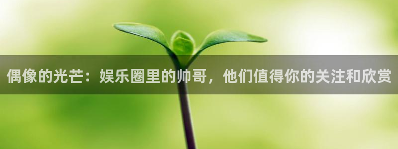 pg国际官网：偶像的光芒：娱乐圈里的帅哥，他们值得你的关注和欣赏
