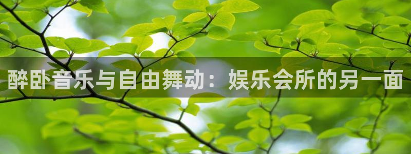 pg国际官网：醉卧音乐与自由舞动：娱乐会所的另一面