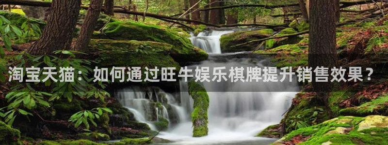 pg国际官网：淘宝天猫：如何通过旺牛娱乐棋牌提升销售效果？