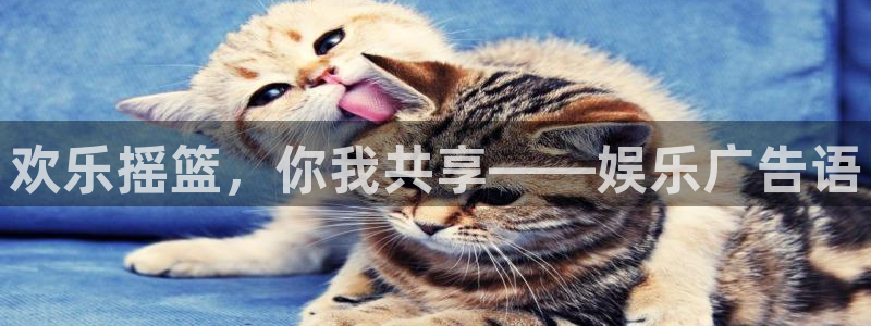 pg国际人