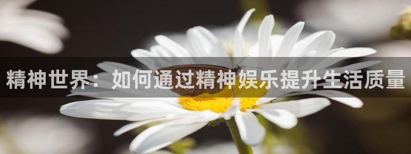 pg国际平台：精神世界：如何通过精神娱乐提升生活质量